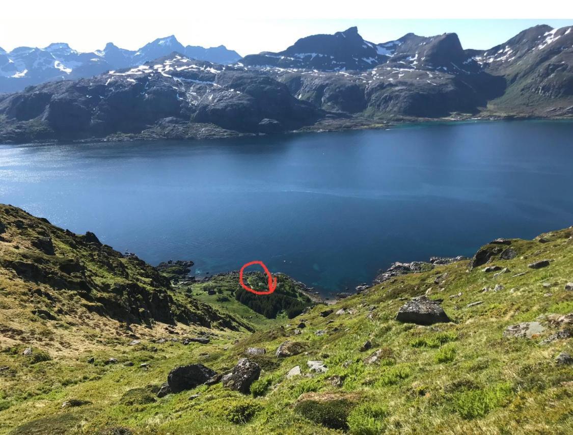 Vettinghytta, Close To The Sea With Amazing View. Gravdal  Kültér fotó