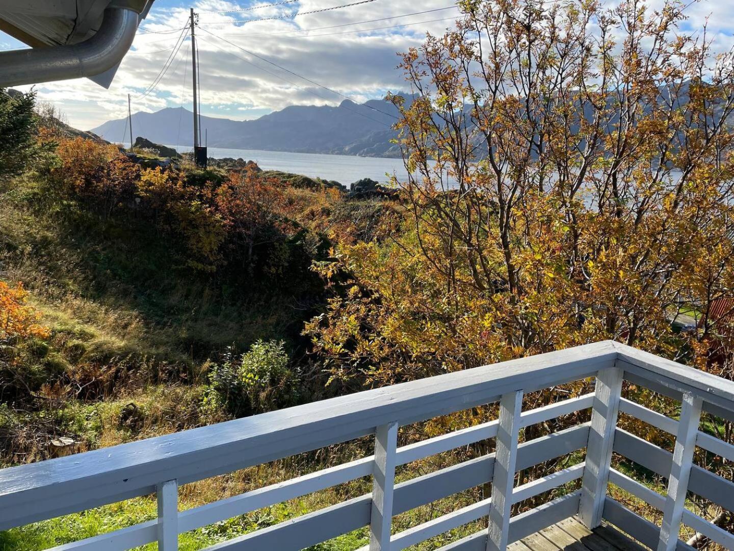 Vettinghytta, Close To The Sea With Amazing View. Gravdal  Kültér fotó