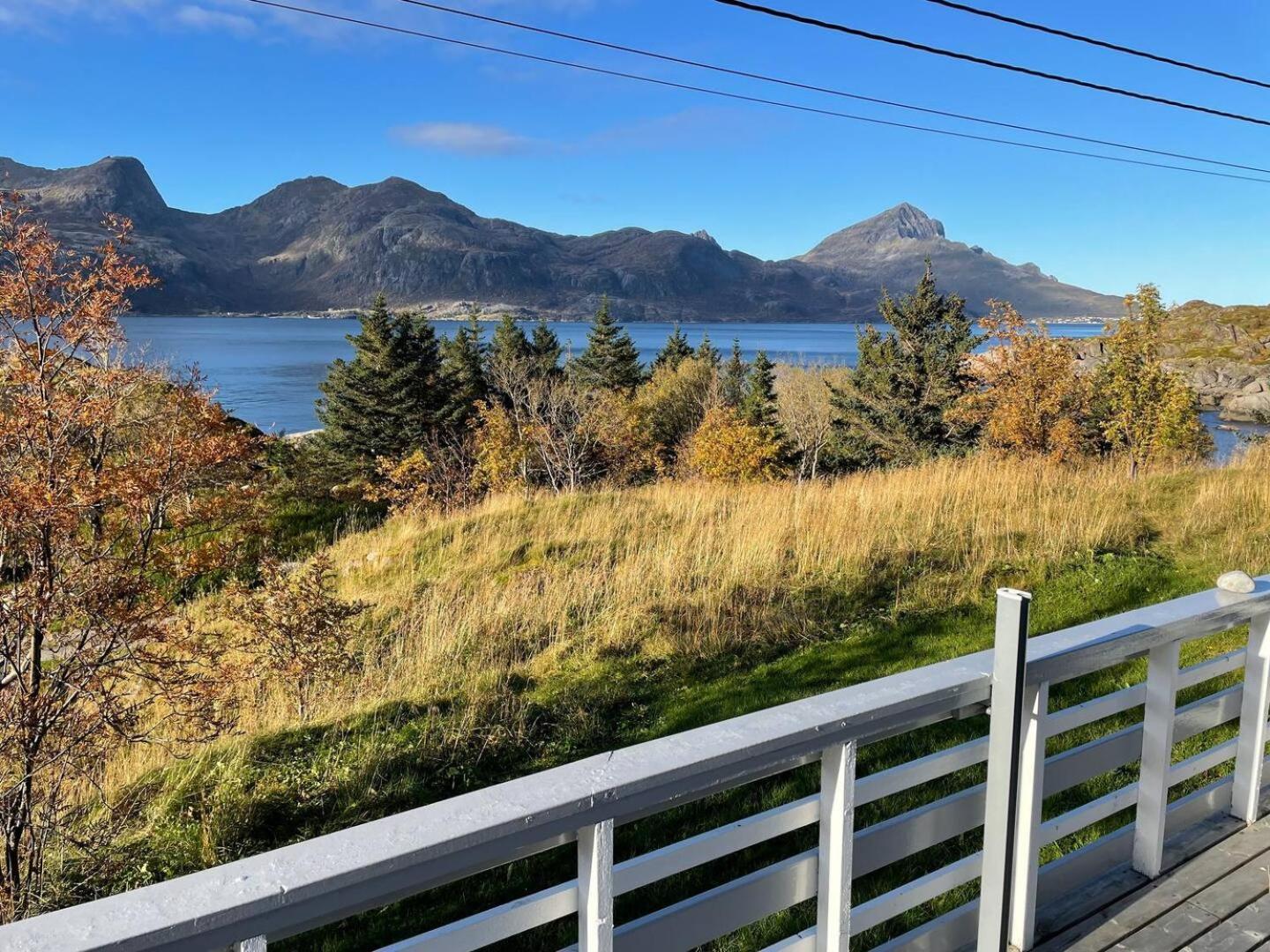 Vettinghytta, Close To The Sea With Amazing View. Gravdal  Kültér fotó