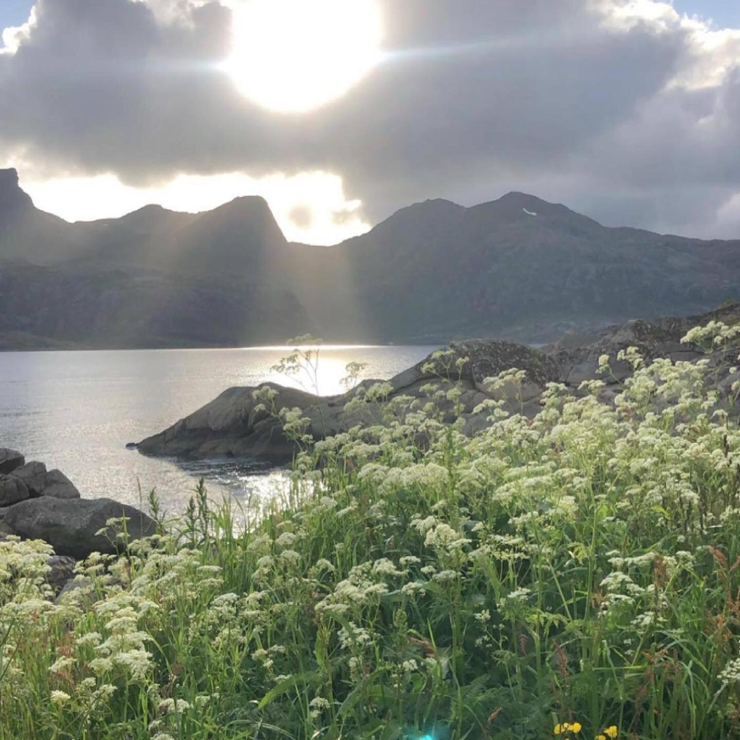 Vettinghytta, Close To The Sea With Amazing View. Gravdal  Kültér fotó